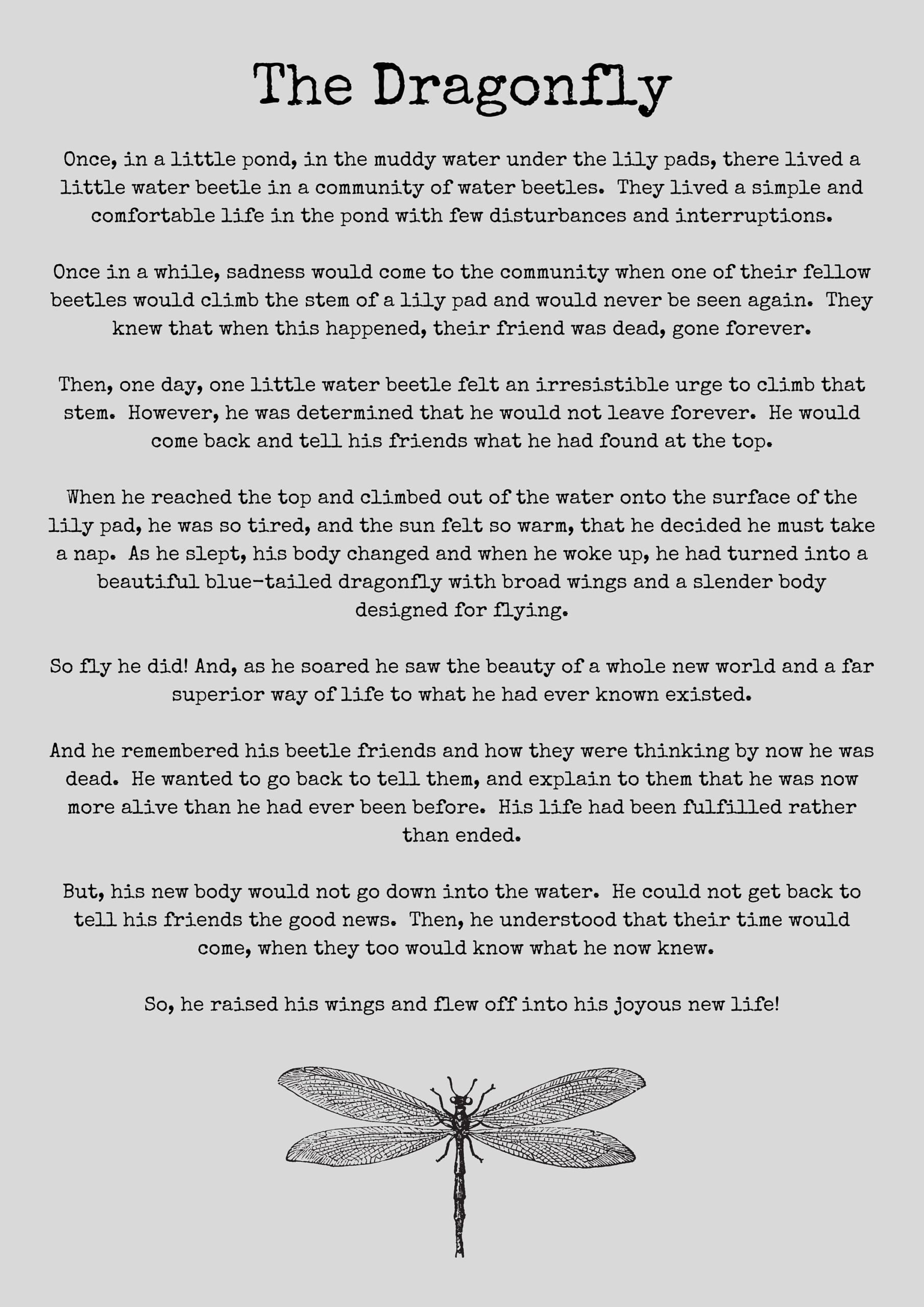 Dragonfly Story Printable Printable Templates Online By Paul Printable