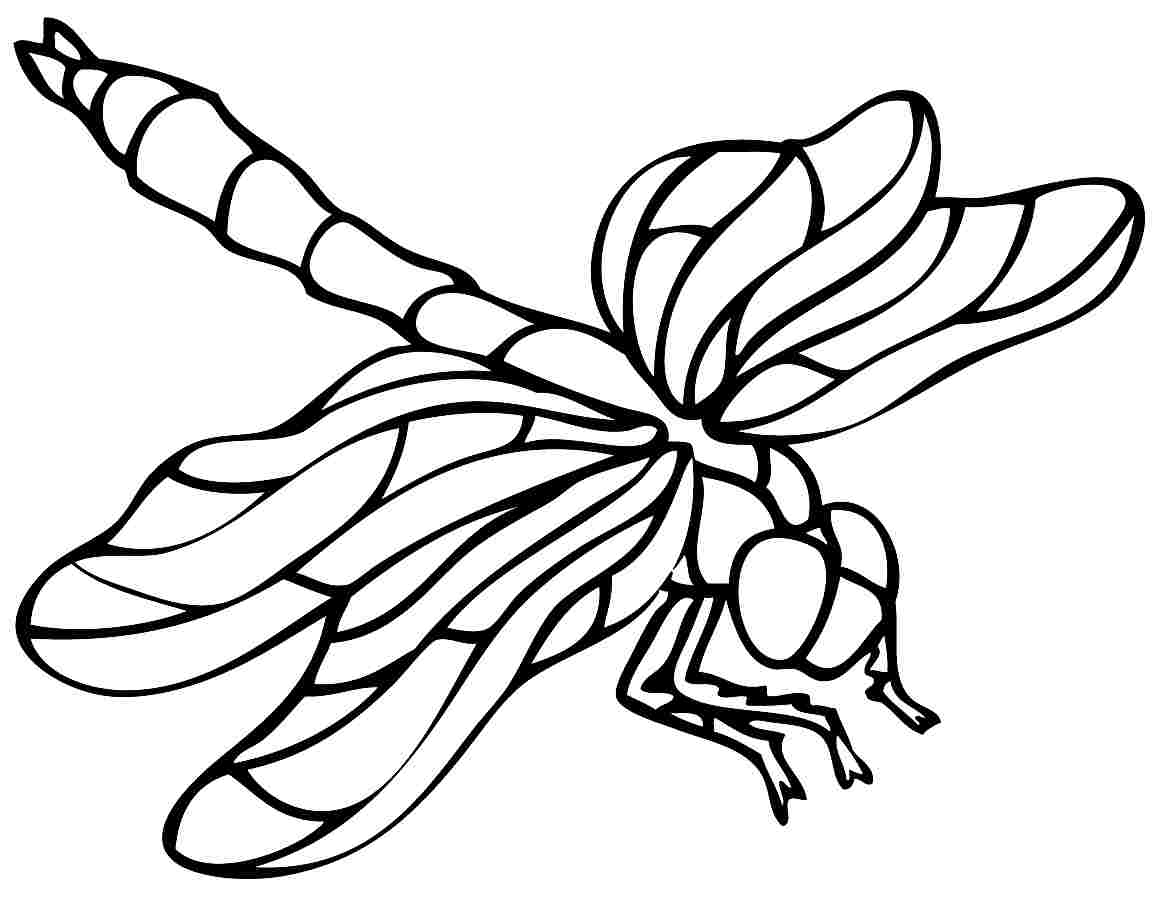 Dragonfly Template Printable