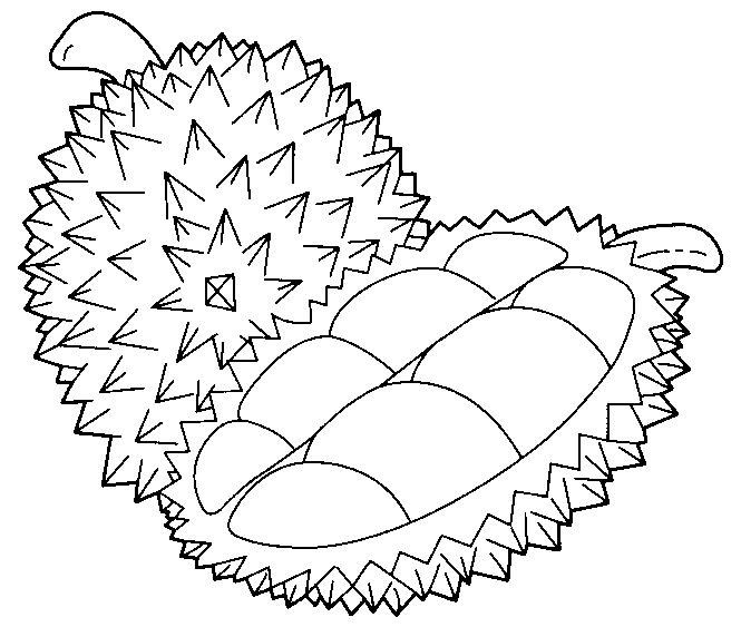 Durian Fruit Coloring Page Free Printable Coloring Pages