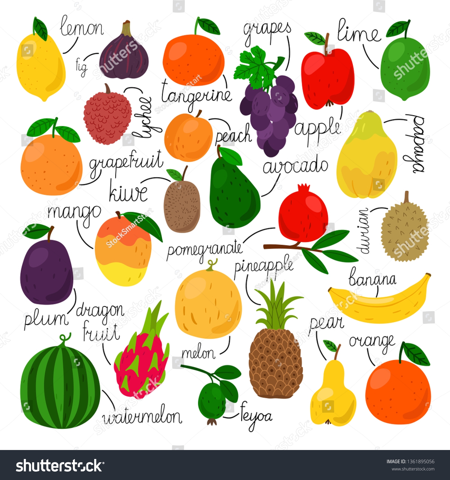 Edible Fruits Collection Tropical Fruit Set Stock Vector Royalty Free 