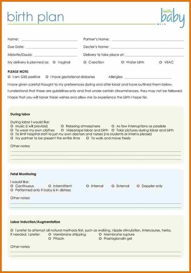 Editable Birth Plan Template Word Document Template vercel app
