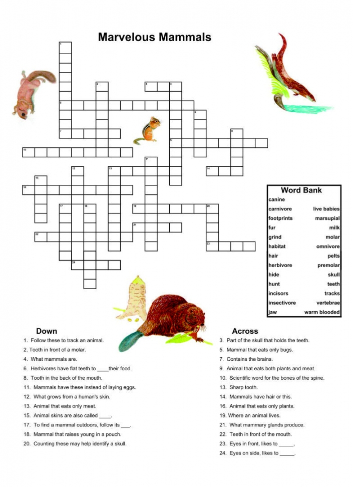 Elderly Free Printable Activities For Dementia Patients FREE
