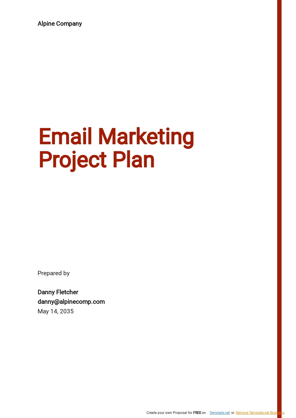 Email Marketing Project Plan Template Google Docs Word Apple Pages 