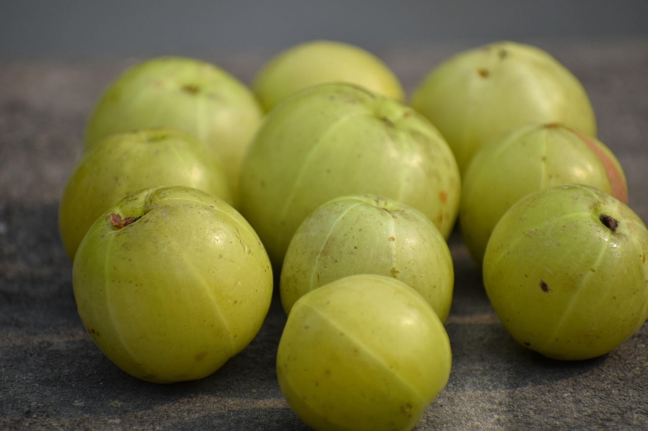 amla fruit picture