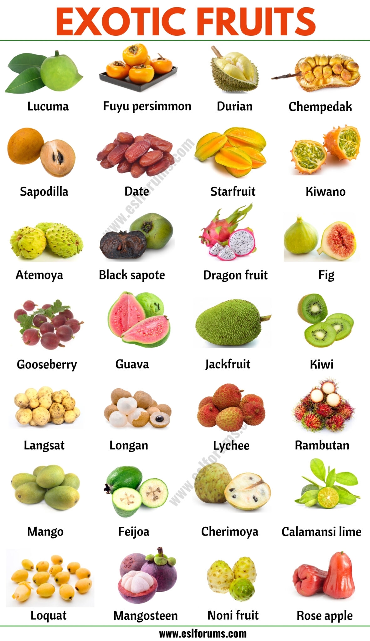 Exotic Fruits List Of 75 Exotic Fruits From All Around The World 