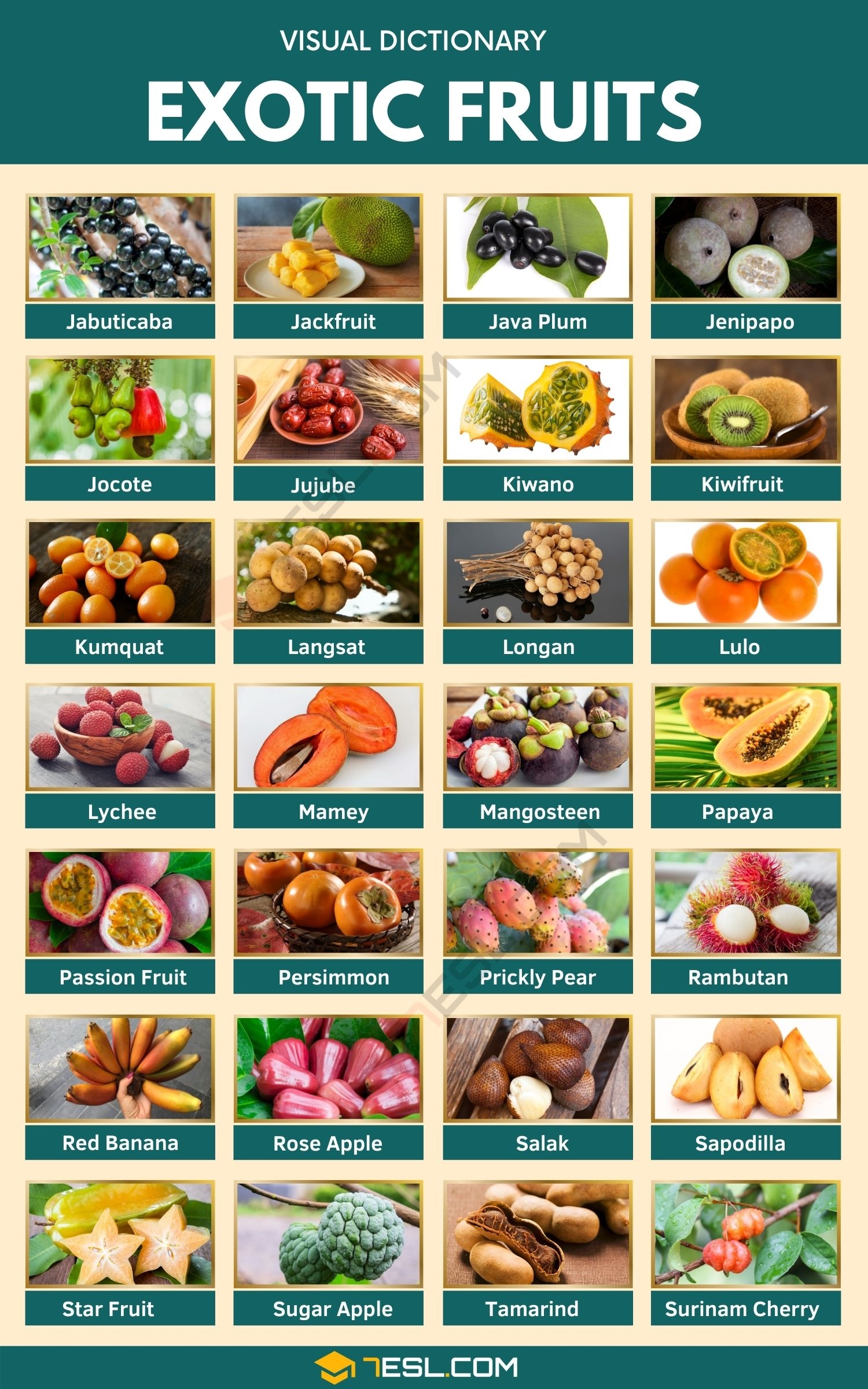 exotic fruits with pictures