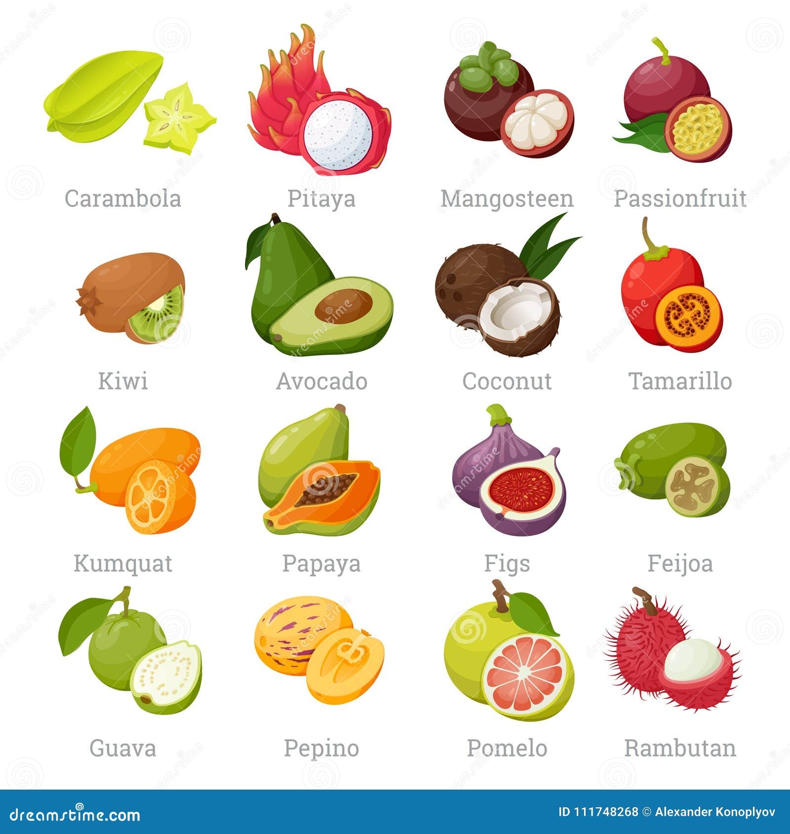 Exotic Tropical Fruits Set With Names Stock Vector Illustration Of 