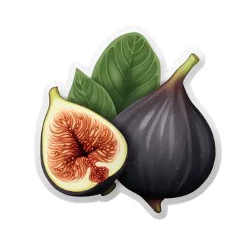 Figs Dry Fruit PNG Transparent Images Free Download Vector Files