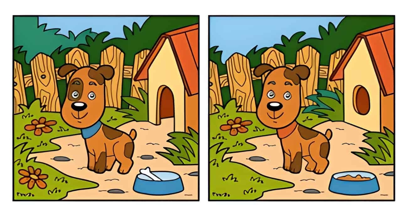 Find What 39 s Different In The Picture Game Printables