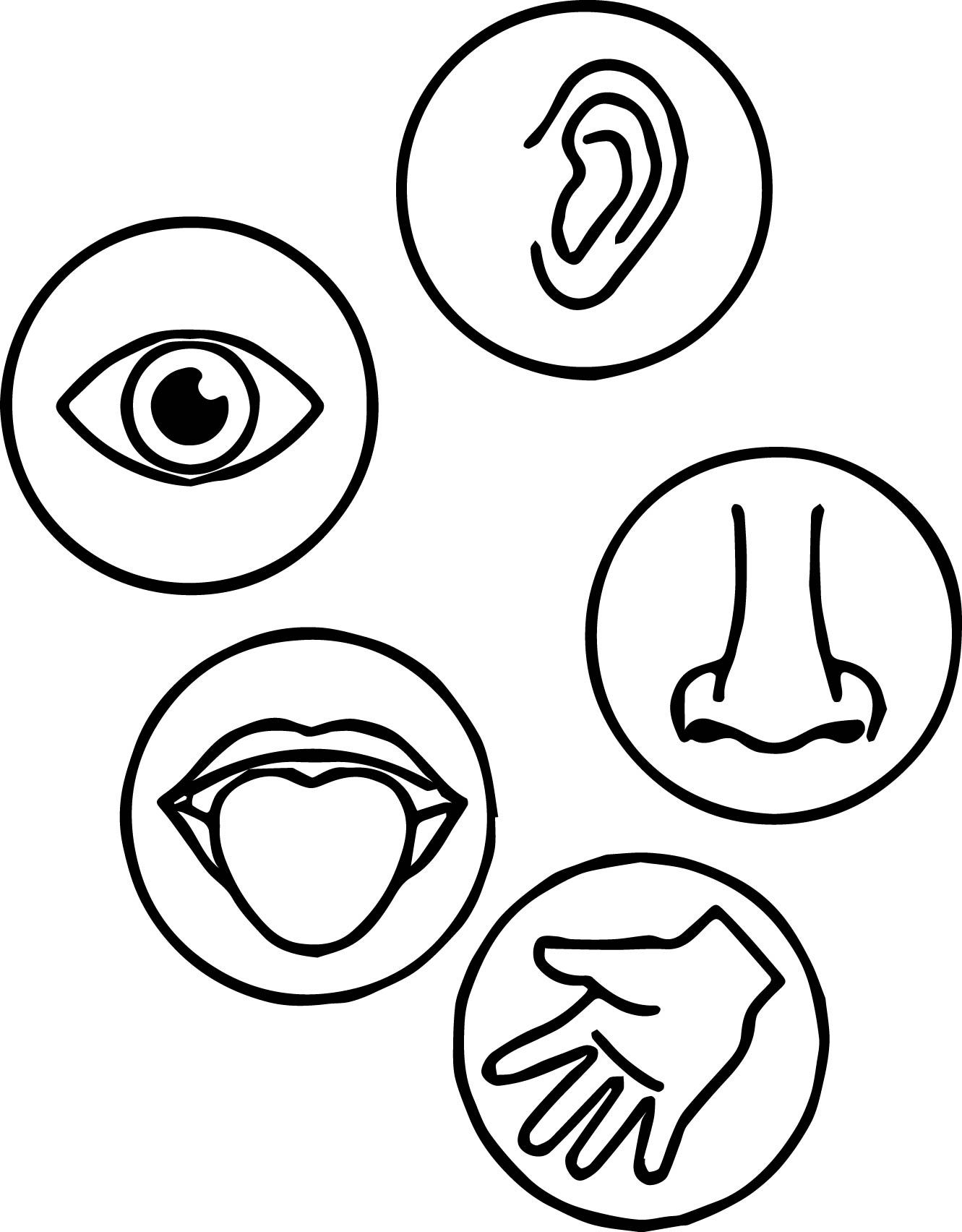 five senses printable activities