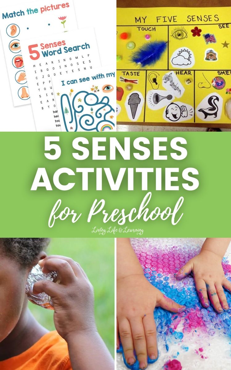 Five Senses Theme Preschool Activities Fantastic Fun 57 OFF