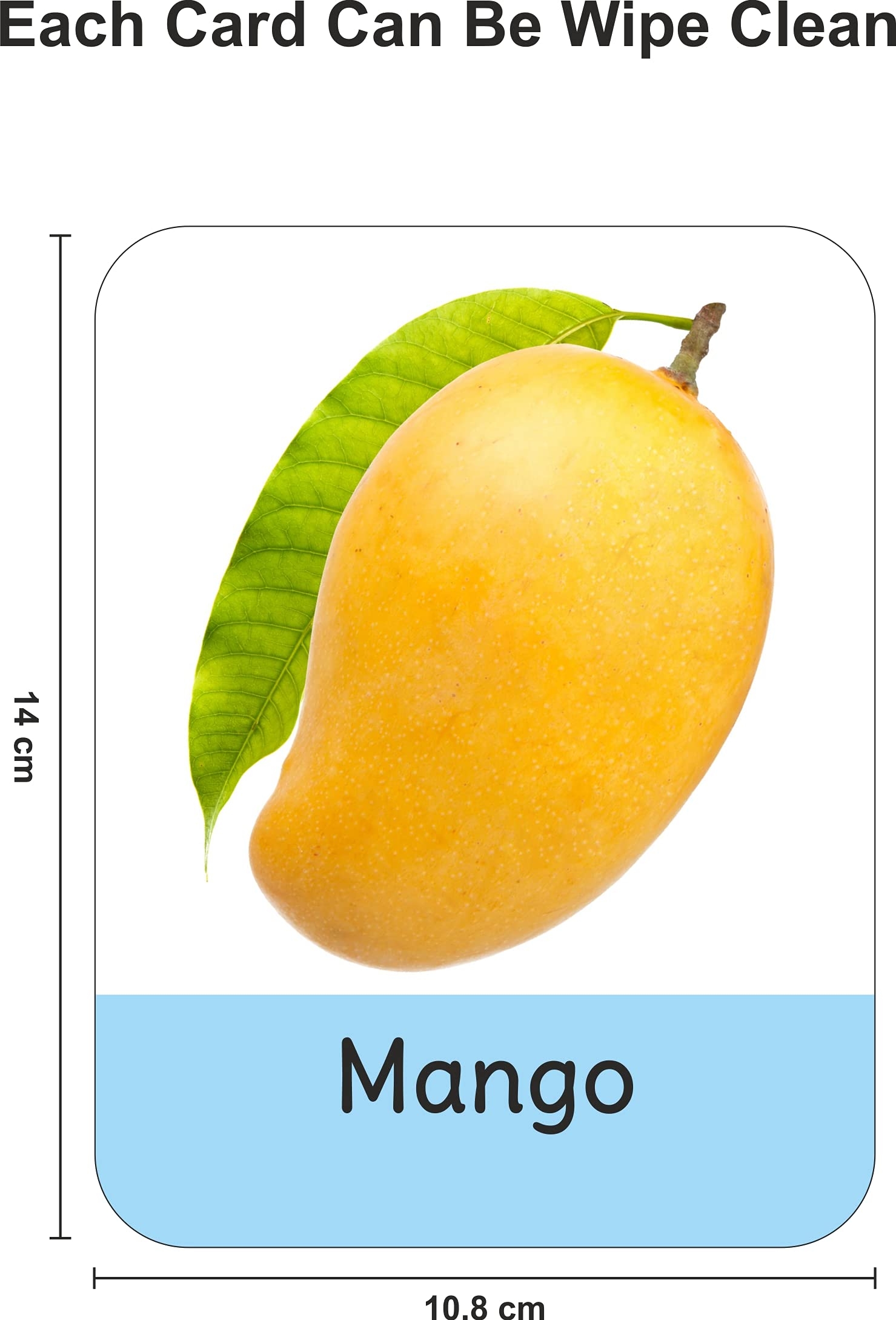 Flash Card My Big Fruits Flash Card Littlelearns