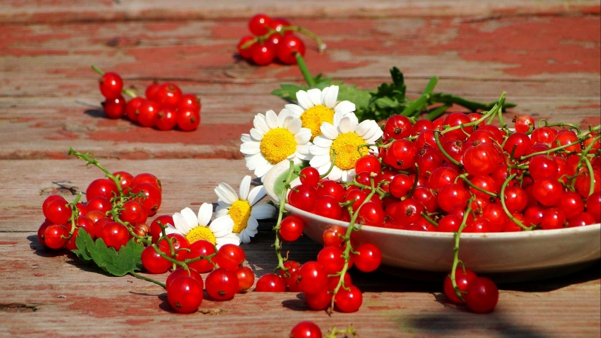 Flowers Fruits Wallpaper 126498 