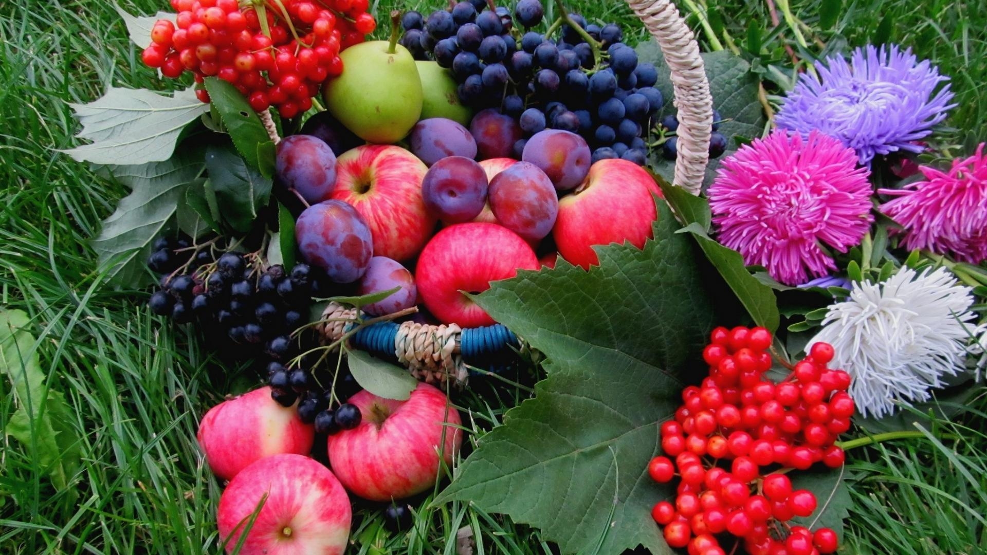 Flowers Fruits Wallpaper 77290