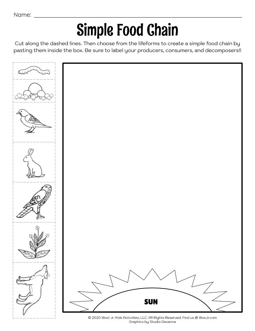 Food Chain Printable Activities