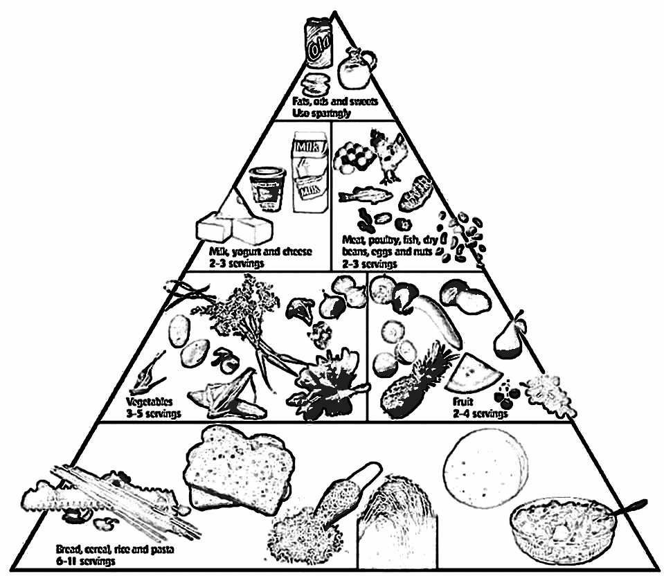 food pyramid picture printable