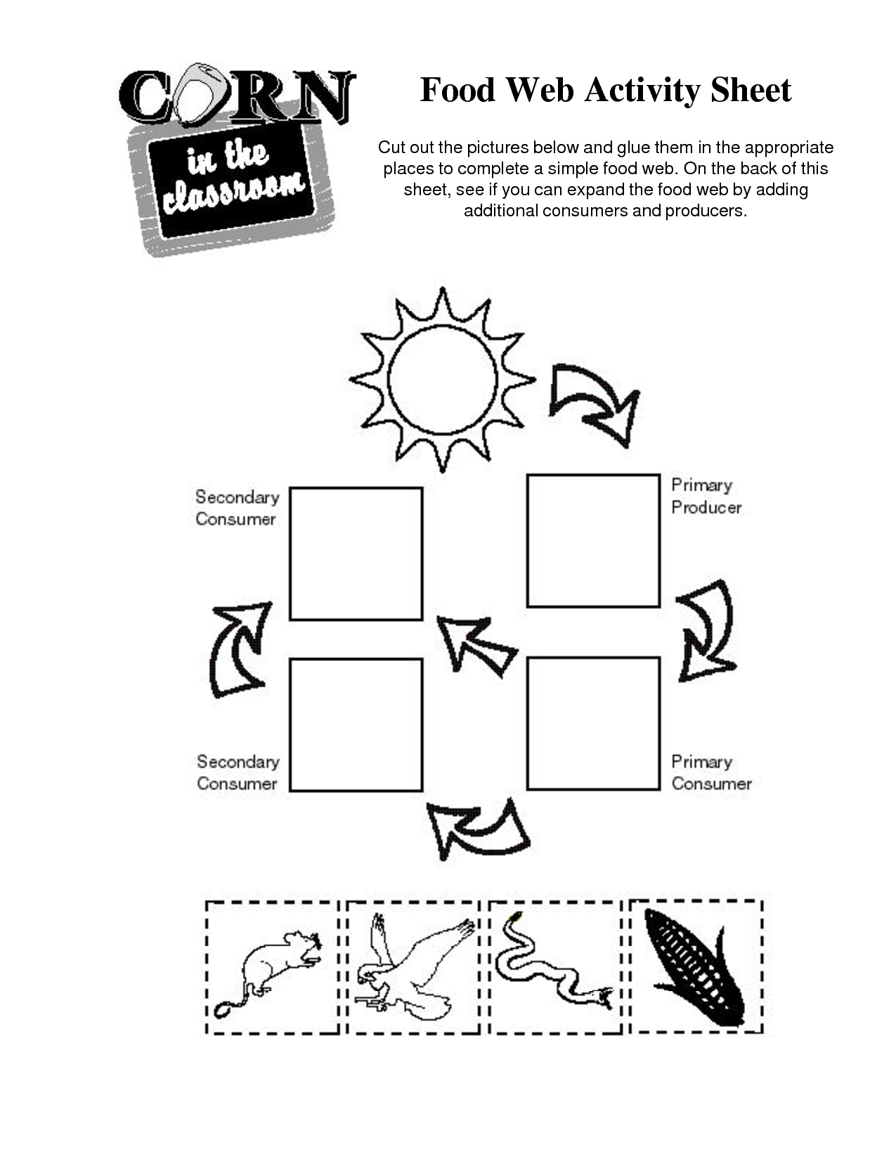 food chain printable activities