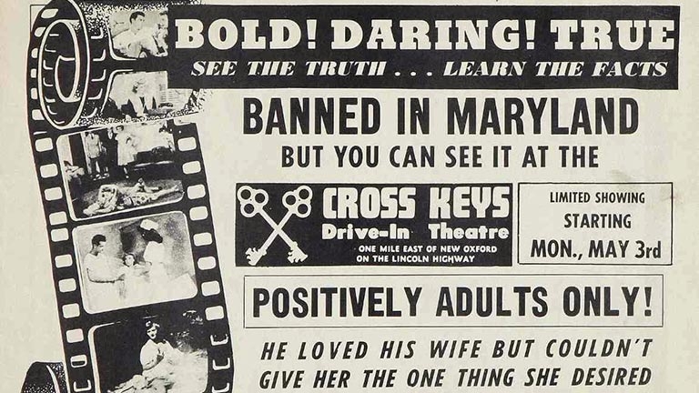 Forbidden Fruit The Golden Age Of The Exploitation Picture Screen Slate