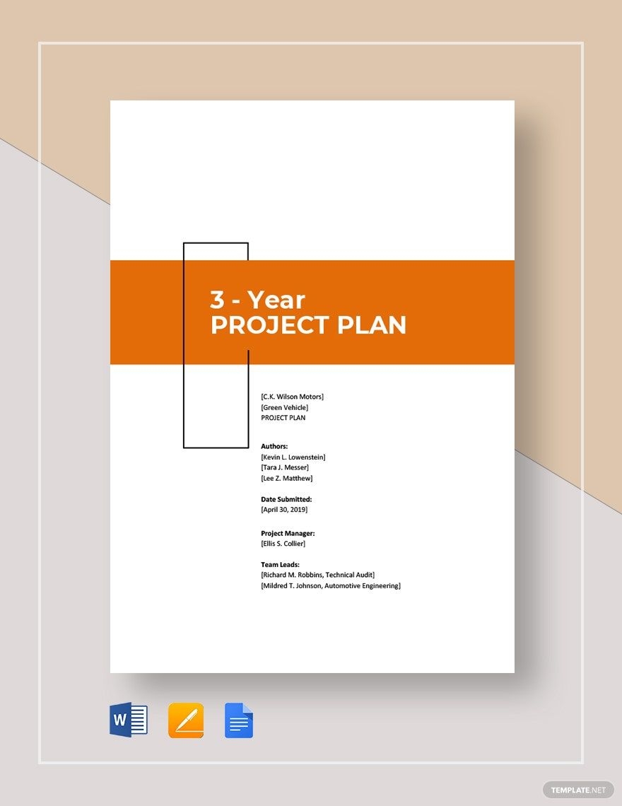 FREE 3 Year Plan Templates Download In Word Google Docs Excel PDF 