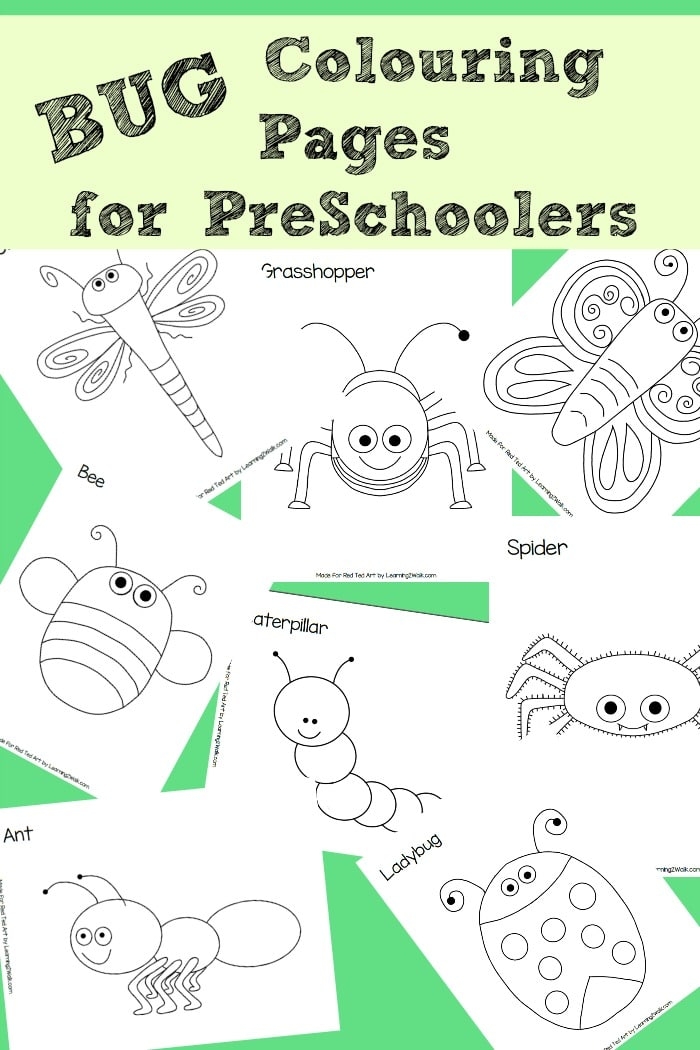 Free Bug Printables