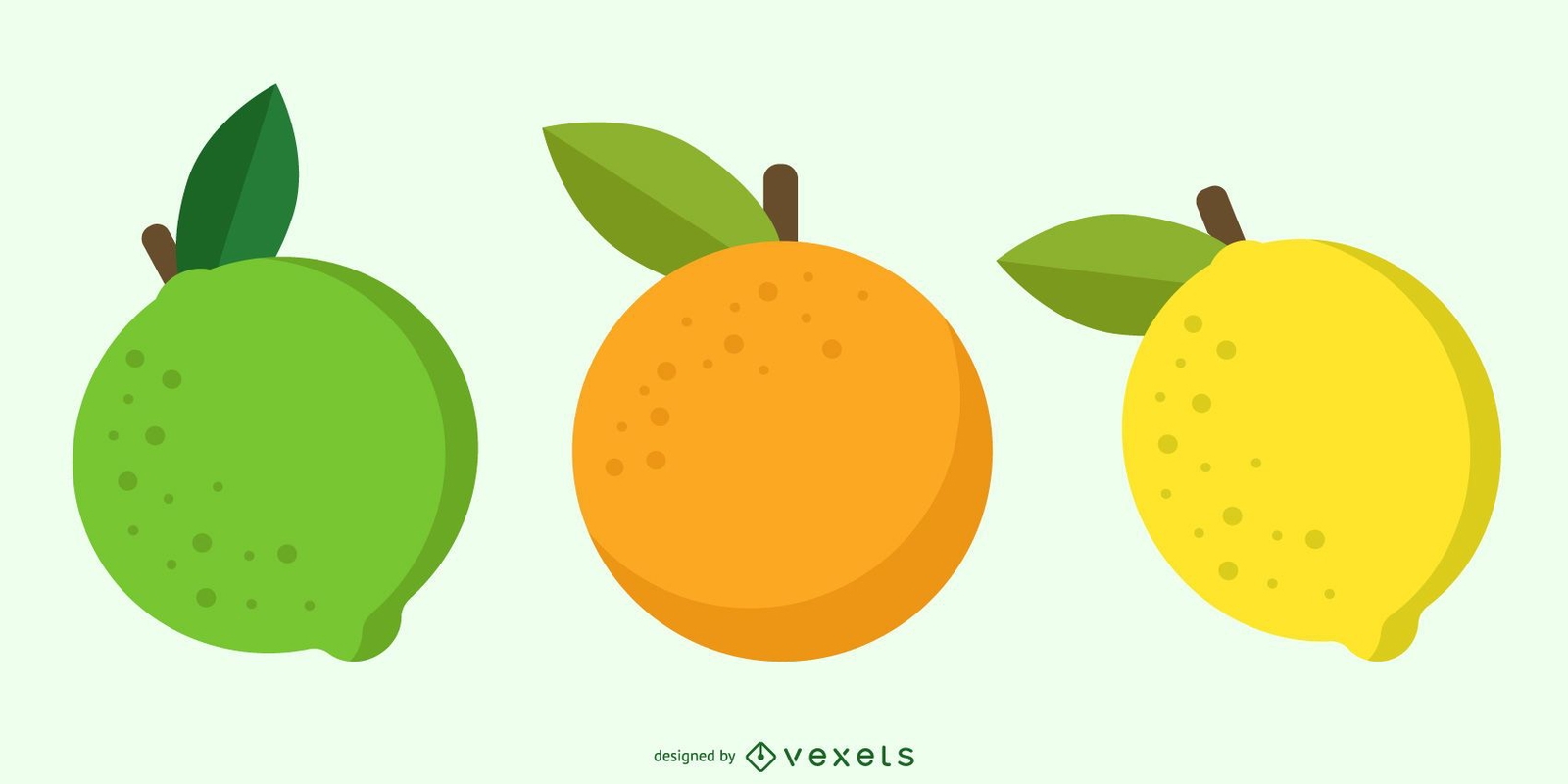 Free Citrus Fruit Vector Vector Download