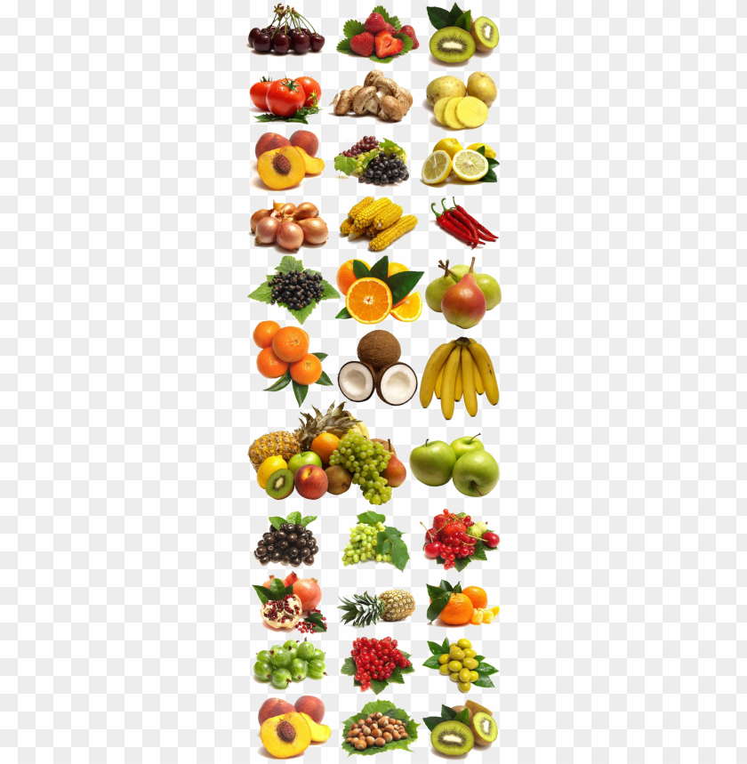 Free Clipart Pictures Of Fruits And Vegetables Infoupdate