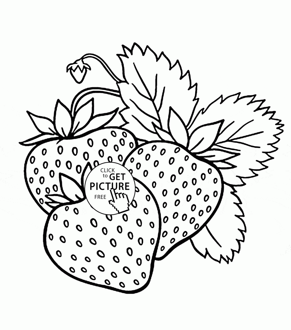 Free Coloring Pages Fruit Coloring Home