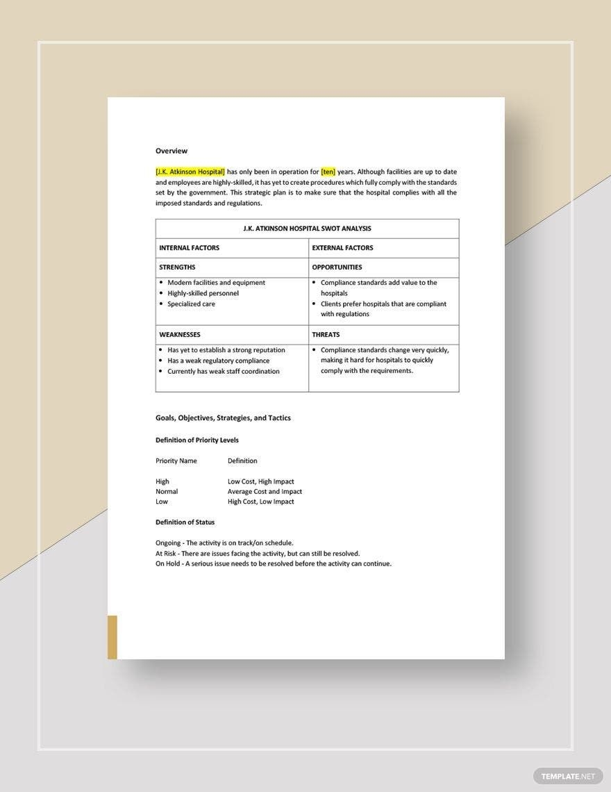 Free Compliance Audit Plan Template Google Docs Word Apple Pages 
