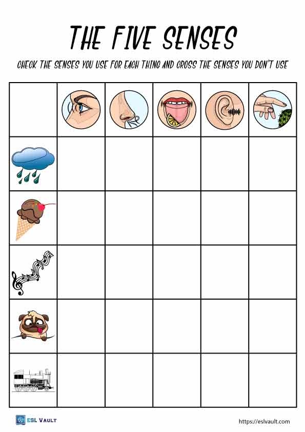 Free Five Senses Worksheets And Activities ESL Vault