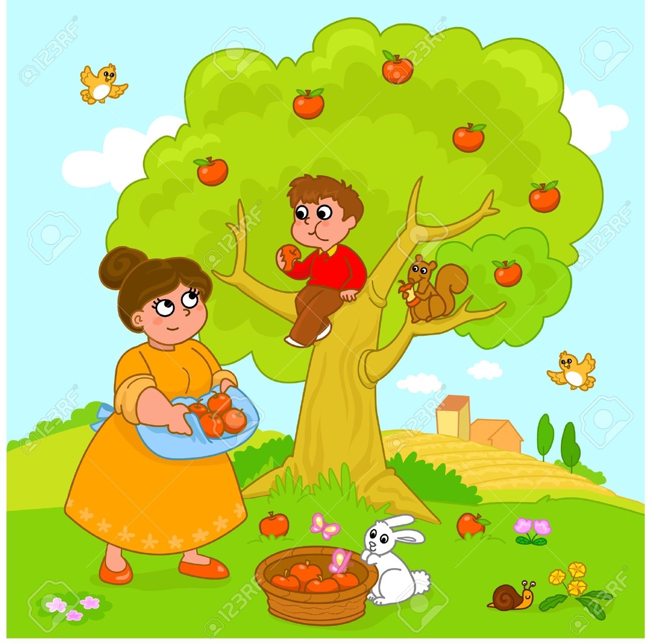 fruit garden pictures