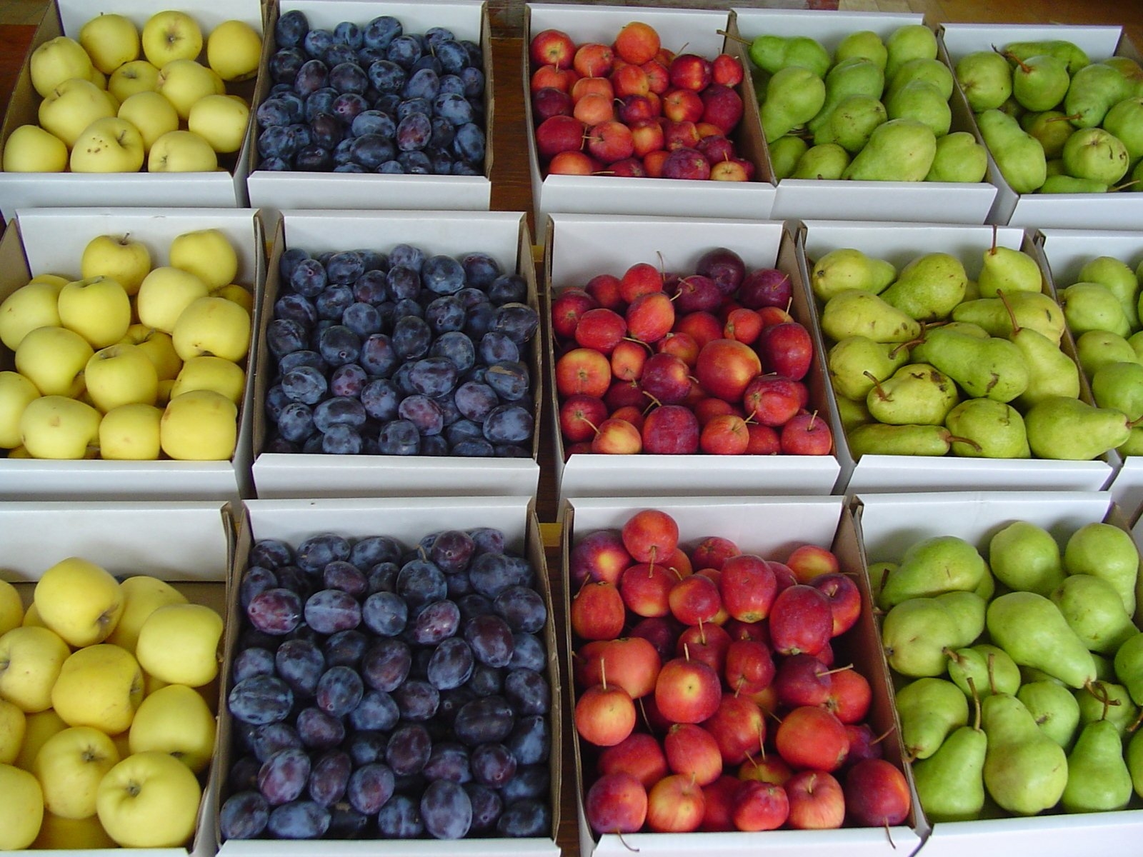 Free Fruit Stand Stock Photo FreeImages