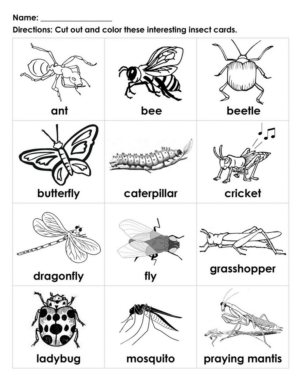 Free Handouts Animals Learning Printable