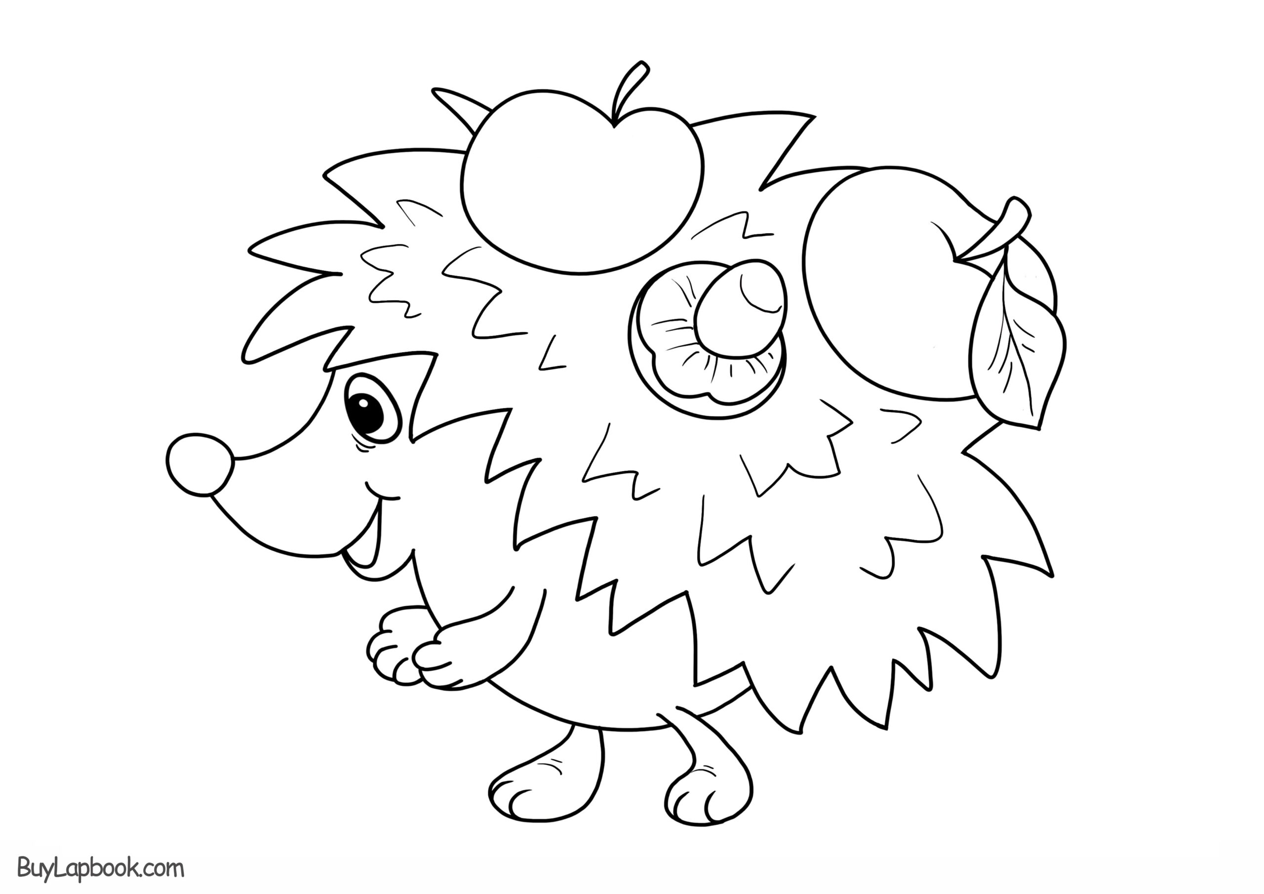 Free Hedgehog Printables Printable Templates