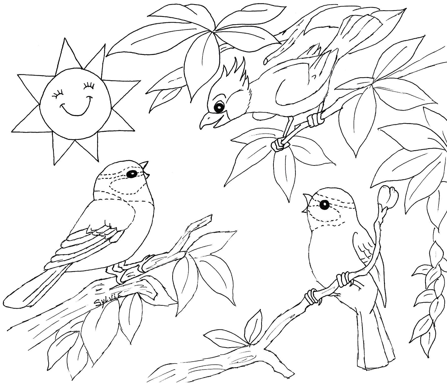 Free Nature Printables