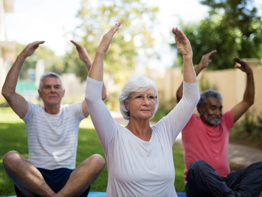 free printable activities for senior citizens
