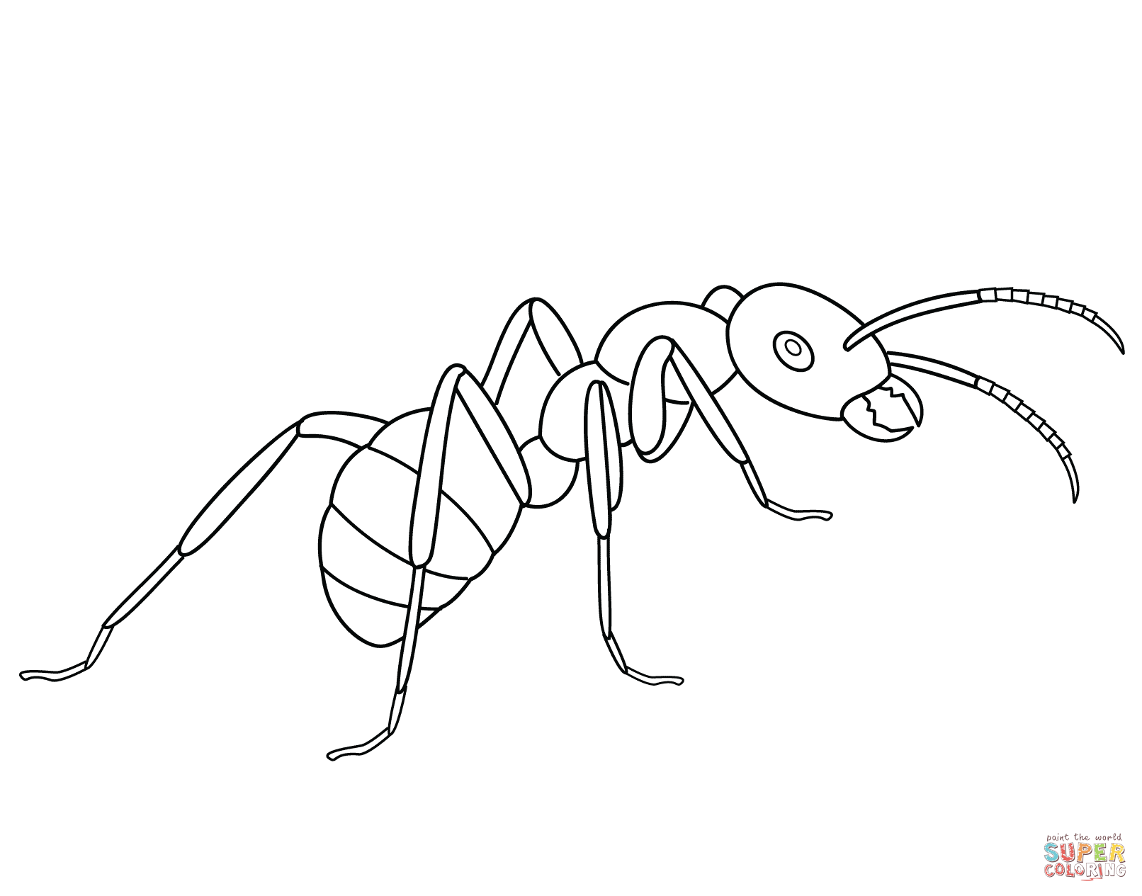 Free Printable Ant Coloring Pages Coloring Home