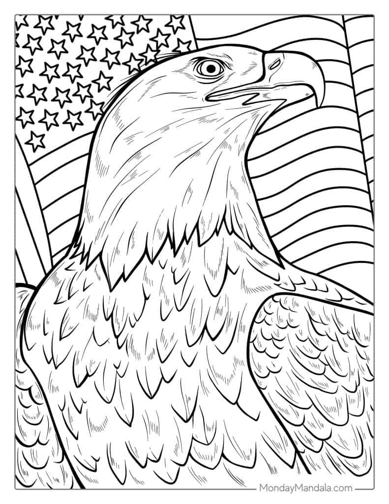 bald eagle printable pictures