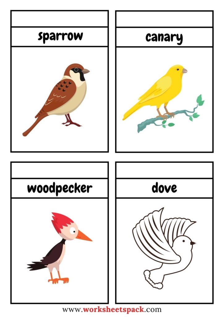 Free Printable Birds Flashcards PDF Worksheetspack
