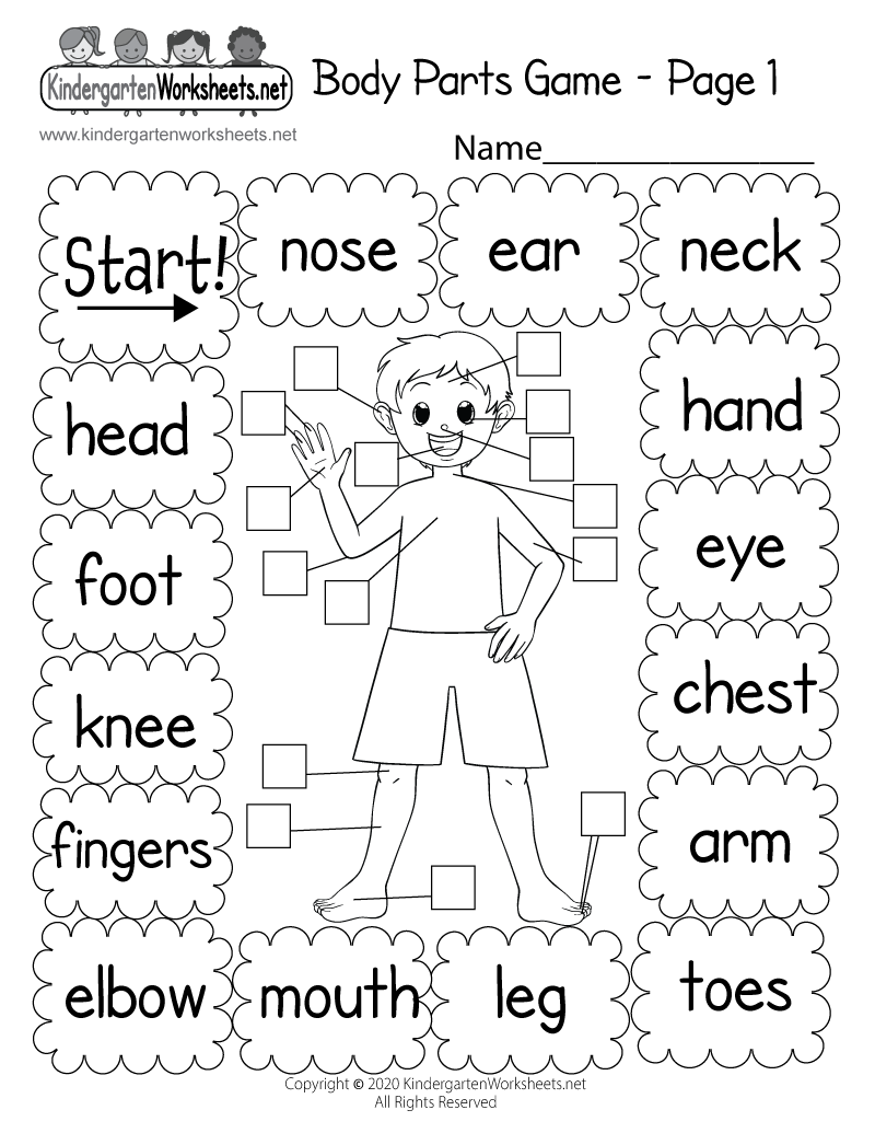 free printable science activities for kindergarten