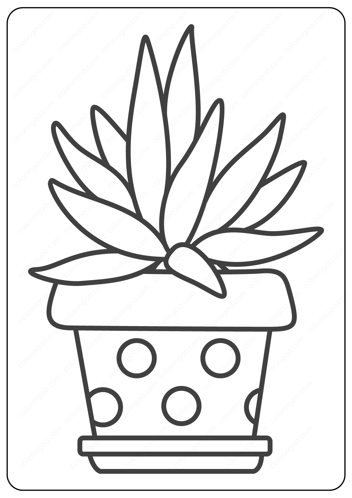 free printable cactus pictures