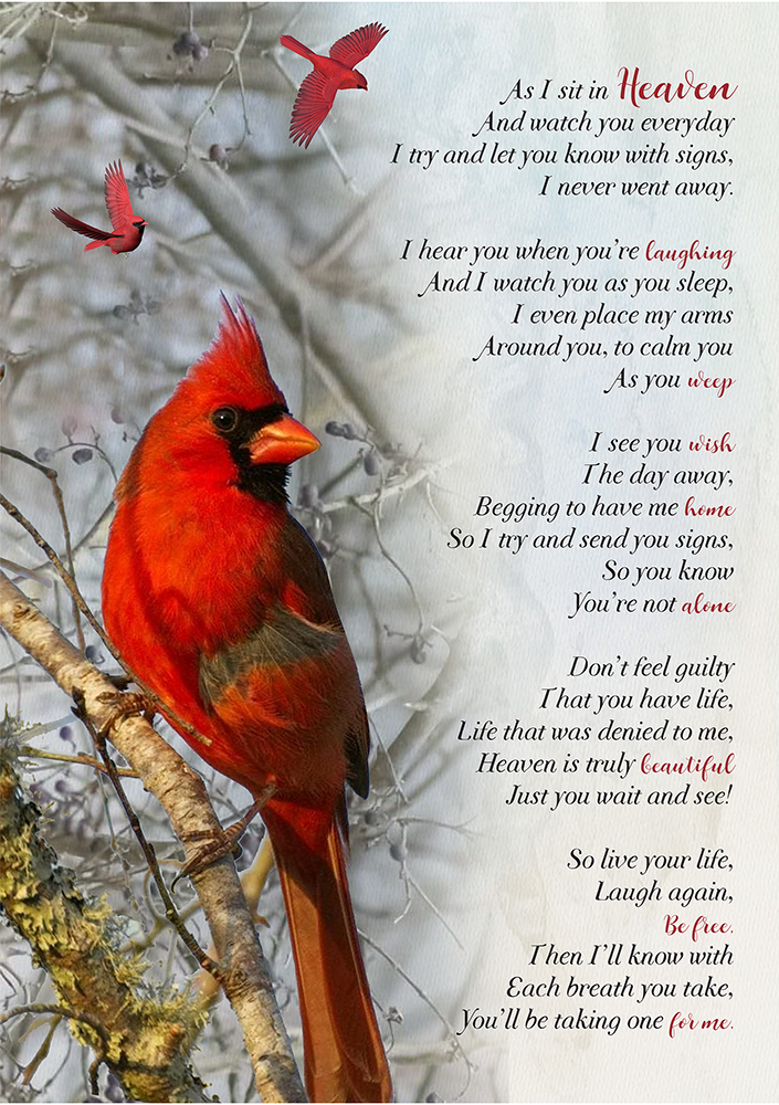 Free Printable Cardinal Poem Printable Word Searches