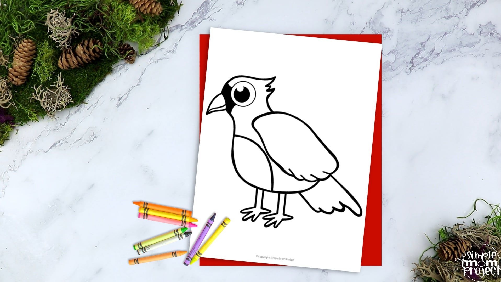 free printable cardinal pictures