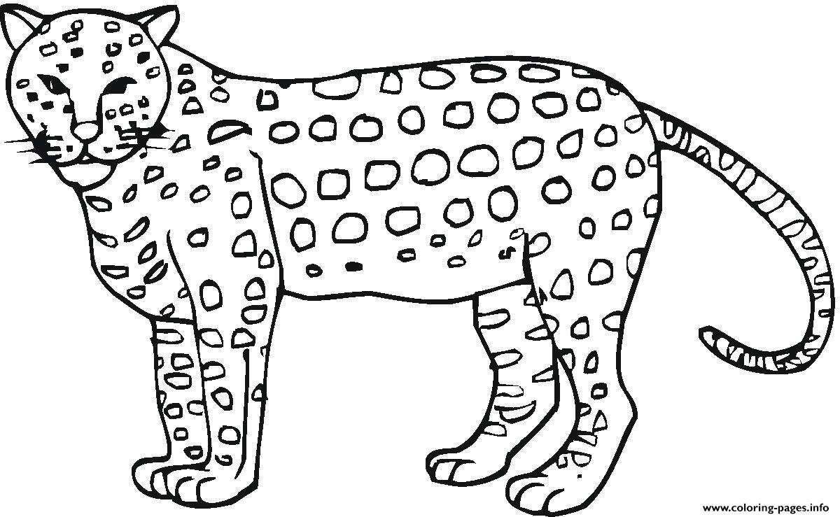 Free Printable Cheetah Pictures Free Printable