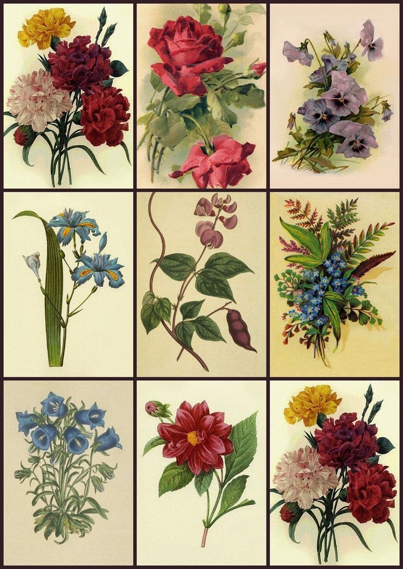 Free Printable Decoupage Flowers Free Printable
