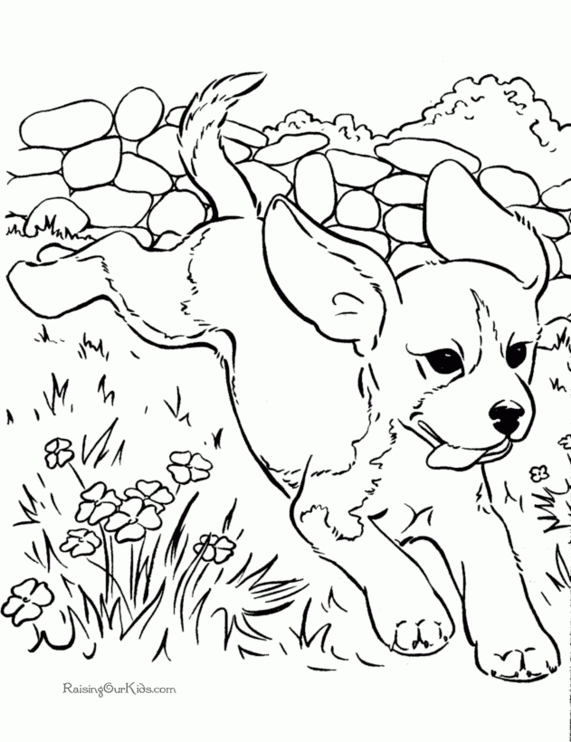Free Printable Dog Coloring Pages Coloring Home
