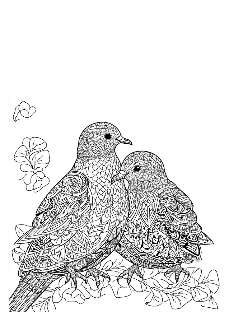 Free Printable Doves Coloring Pages