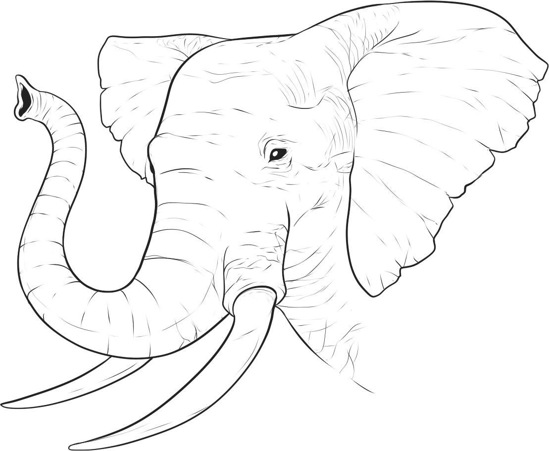 Free Printable Elephant Images Free Printable
