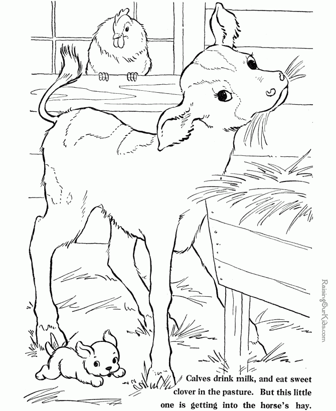 free printable pictures of farm animals