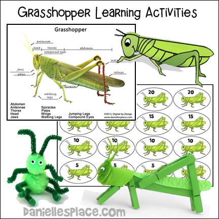 Free Printable Grasshopper Craft Template Simple Mom 44 OFF