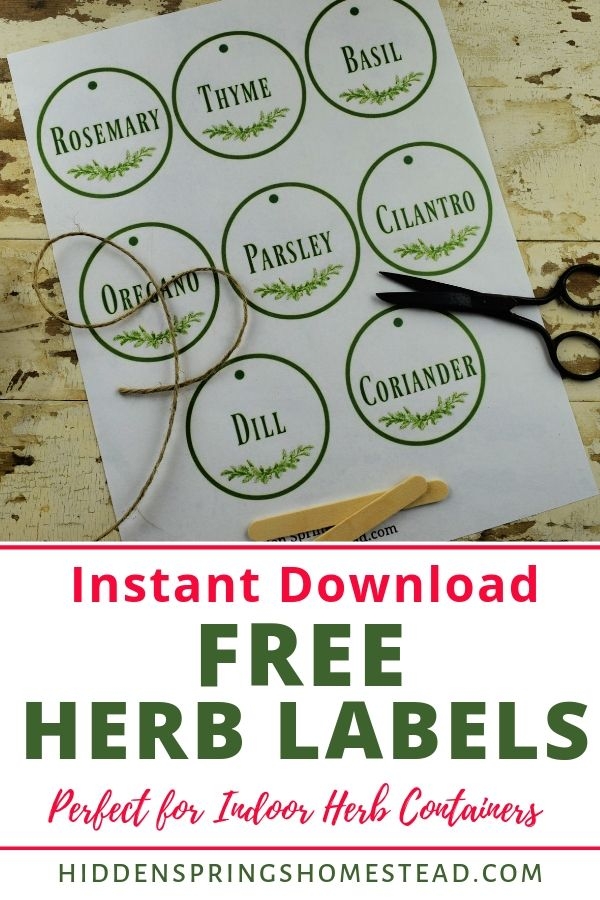 free printable herb pictures